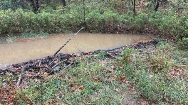 Lake Lanier Saddle Dike (Corps of Engineers)