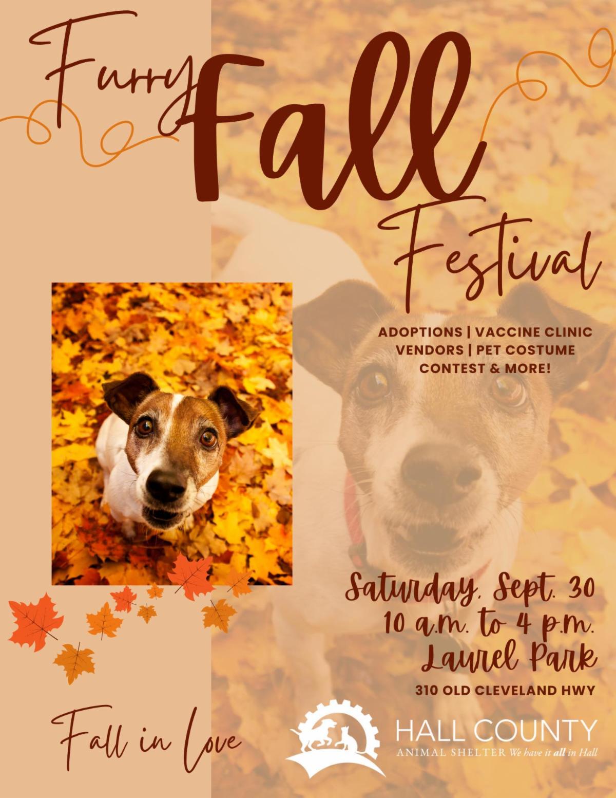 fall-festival-season-looming