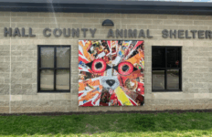 Image of the Hall County Animal Shelter