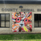 Image of the Hall County Animal Shelter