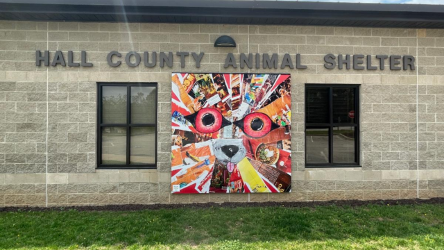 Hall County Animal Shelter Courtesy: Hall County Government