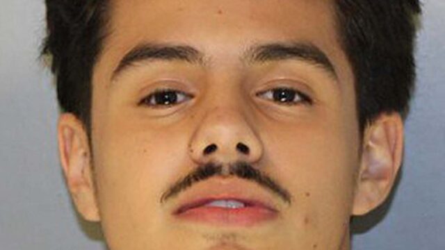 LEAD Technologies Inc. V1.01