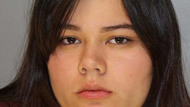 LEAD Technologies Inc. V1.01