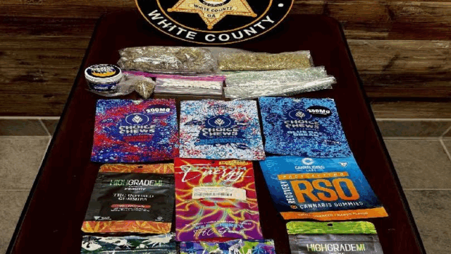 Some of the seized contraband. (WCSO photo)