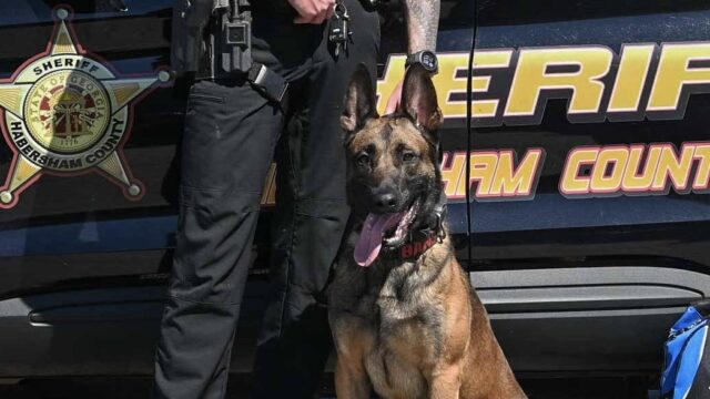 (Photo by Williams Photo & Design)