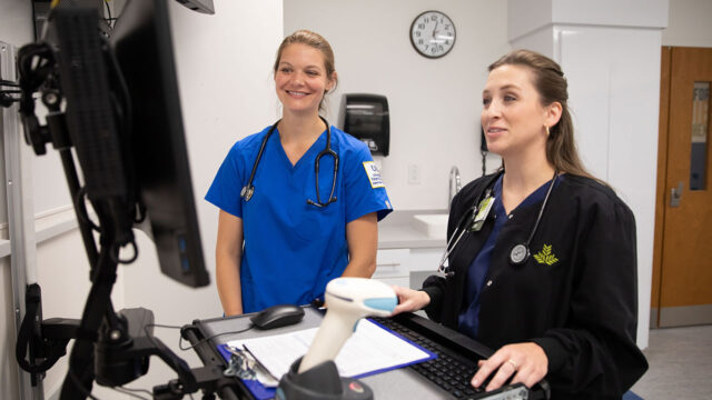 The university developed the 15-month accelerated nursing track, which requires students to have a bachelor's or master's degree in another field, in partnership with Northeast Georgia Health System (NGHS). (UNG photo)