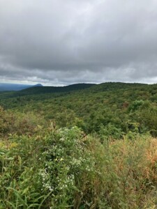 White County. Richard Russell Scenic Highway. Oct. 2, 2025. (Courtesy Ga. Forestry Commission)
