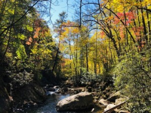 Towns County – Tallulah River (GFC photo)