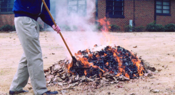 File photo (Courtesy Ga. Forestry Commission)