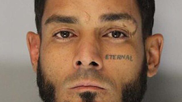 LEAD Technologies Inc. V1.01