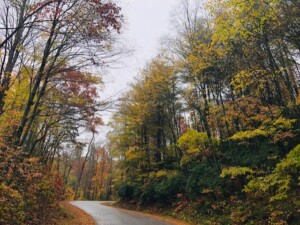 Lake Winfield Scott (GFC photo)