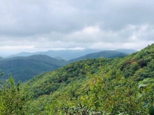 Lumpkin County - Hogpen Gap (Courtesy Ga. Forestry Comm.)