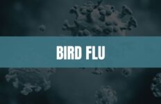 Turquoise rectangle with white text that says Bird Flu and an image of viruses in the background.