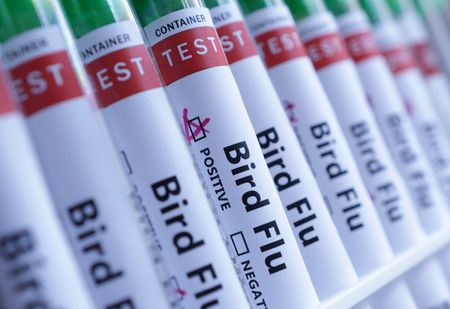 (SRN NEWS/REUTERS illustration)