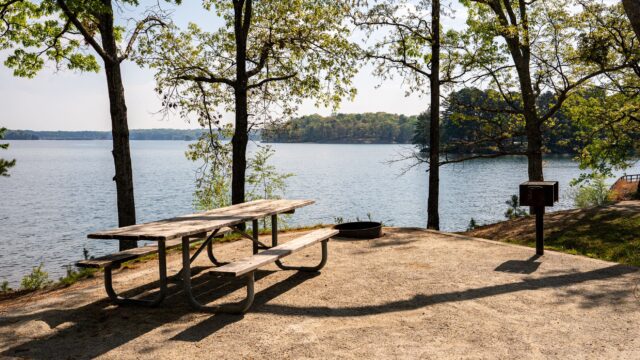 “We want to assure everyone with existing reservations that their reservations are unaffected, and staff are standing by to take new reservations," Parks & Leisure Services Director Brent Holloway said.
(Hall Co. Parks & Leisure Services photo)