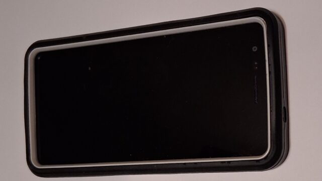 (Photo by Ken Stanford)