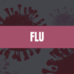 Text that says Flu on a pink rectangle with flu viruses in the background.
