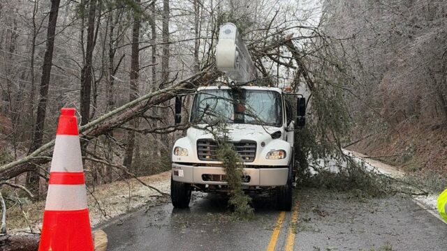 "At least 50% of these roads have power lines entangled in debris, creating
hazardous conditions," Habersham Co. spokeswoman Ashlyn Brady said.  (Habersham EMC photo)