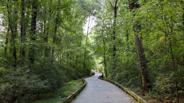 (Forsyth Co. Parks & Recreation file photo)