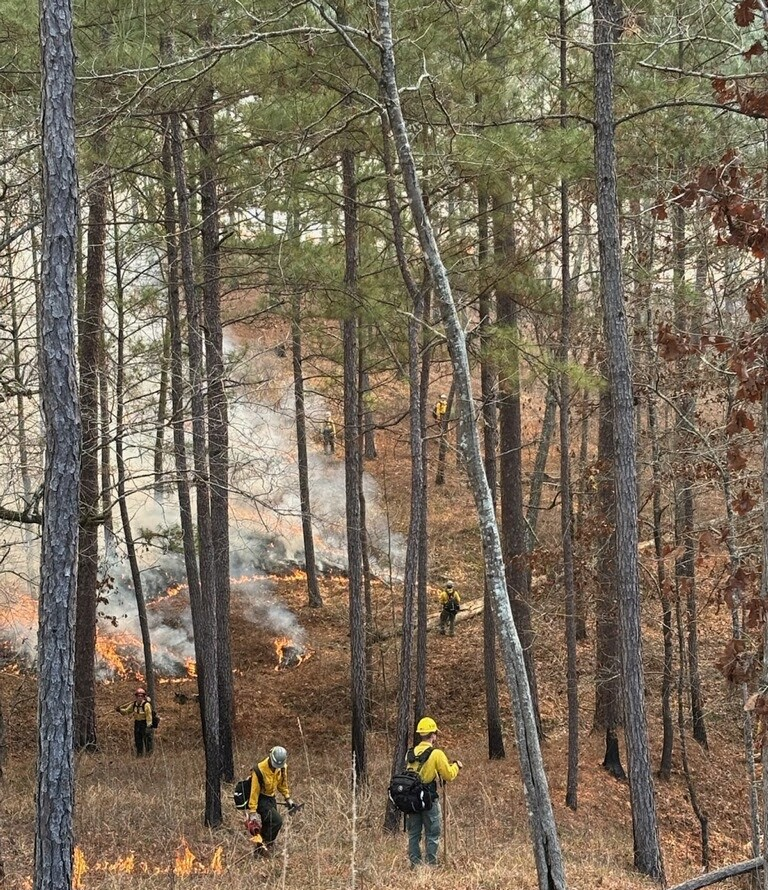 USFS plans for controlled burns across N. Ga.