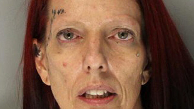 LEAD Technologies Inc. V1.01