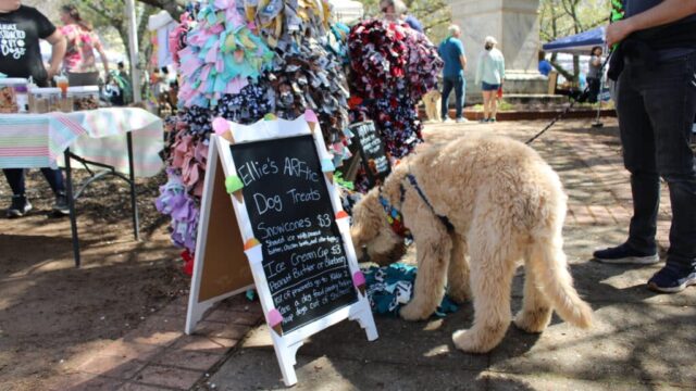 Mutts on Main
(City of Gainesville file photo)