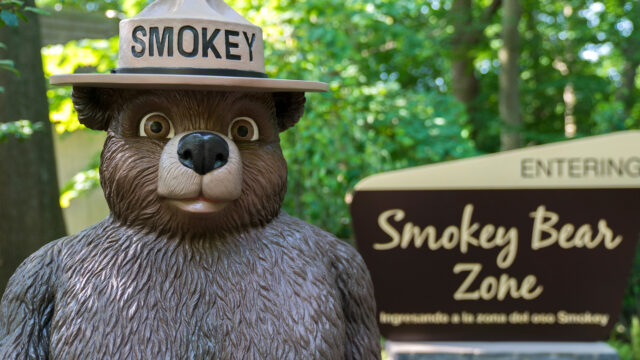 (USDA/USFS illustration)