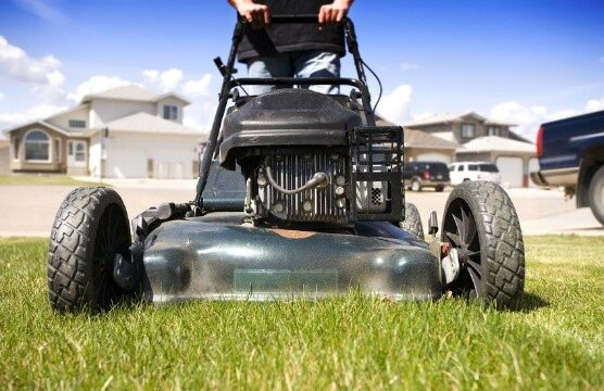 (Gwinnett Co. Police)