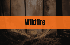 Graphic with the text "Wildfire" on an orange rectangle over a wildfire background.