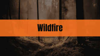 Graphic with the text "Wildfire" on an orange rectangle over a wildfire background.