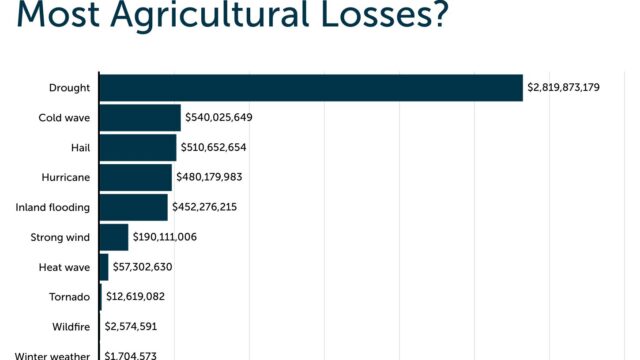 Natural disasters and their impact on agriculture nationwide.

(Trace One)