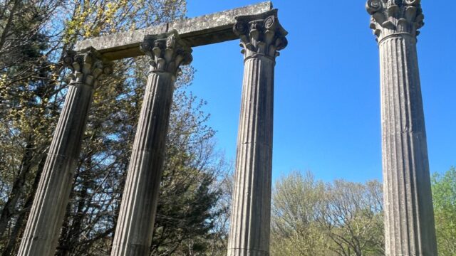 The Columns were part of the church's previous building and were the only major piece to survive a 1960 fire.

(Gainesville First Baptist Church)