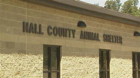 (Hall Co. Government photo)