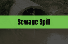 Graphic with the text "Sewage Spill" on a green rectangle and a sewage outlet in the background.
