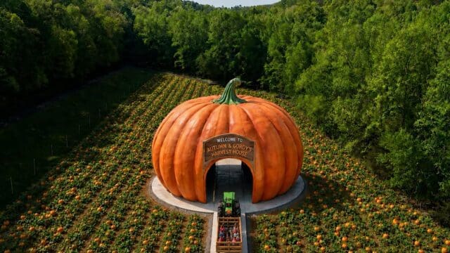 Rendering of what final product is expected to look like.
(Courtesy Burt's Pumpkin Farm)