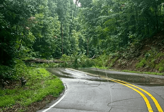 Woodlin Road Friday. (Hall Co. Sheriff's Office)