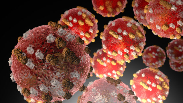 (CDC image)