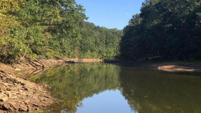 Chattahoochee River (Lake Lanier Association )