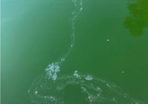 (Lake Lanier Association)