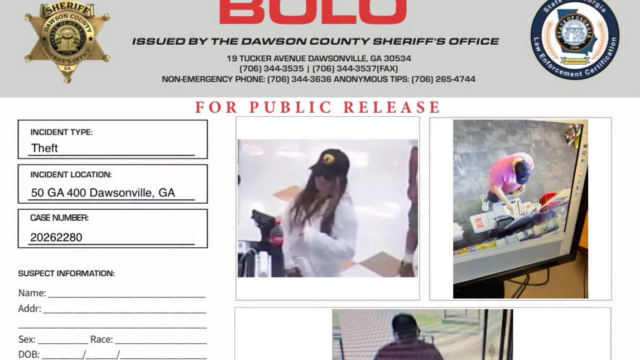 (DCSO)