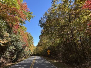 State Route 180 Spur
(GFC)
